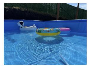 Sioni relax