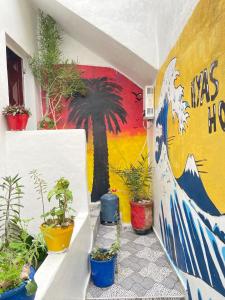 Taghazout Rooftop Ocean View Apartment