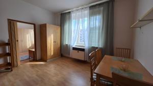 Apartment 22 with two bedrooms in Prague Nusle