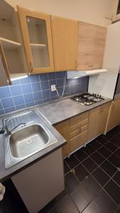 Apartment 22 with two bedrooms in Prague Nusle