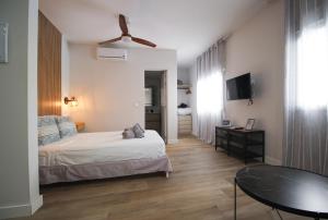 CD-Estudio, acogedor y funcional, céntrico, barrio tranquilo