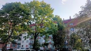 Klimatyczne50m