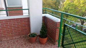 Klimatyczne50m