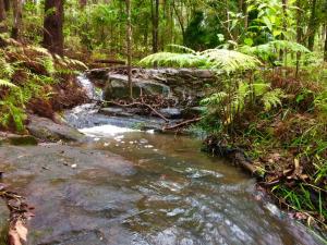 Noosa Hinterland Retreat