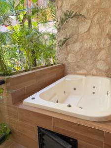 Wamai Tulum Departamento suite