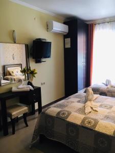 Apolonia hotel experience