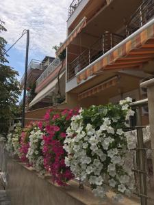 Apolonia hotel experience