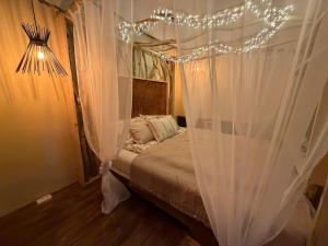 F44 Cozy Suite