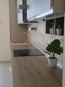 Rome Aurelia Apartment