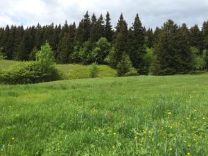 Horský Wigwam Geronimo