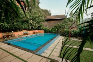 Tree6poolvilla