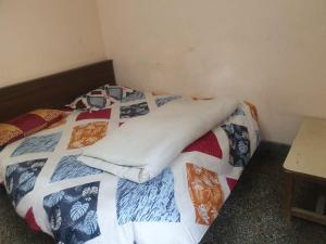 Ever Green Guest House デリー日本 人 宿