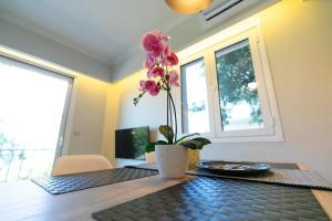 Tonis - Chill Pagrati Home With Parthenon View