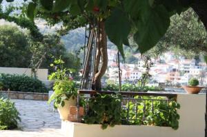 Ballas Apartments Kefalloniá Greece