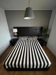 Quo Vadis Apartment
