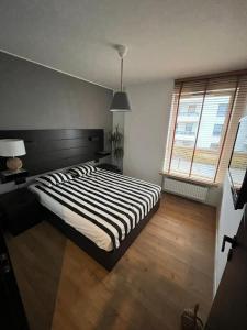 Quo Vadis Apartment