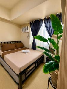 AVIDA DAVAO STUDIO 4th floor