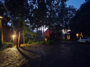 Cabaña en el Bosque de San José del Pacífico 3