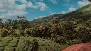 Ellickalhomestay