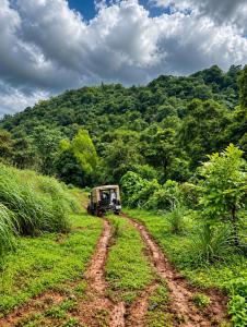 Banasura Wetlands Wayanad Boutique Pool Resort Near Waterfalls
