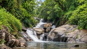 Banasura Wetlands Wayanad Boutique Pool Resort Near Waterfalls