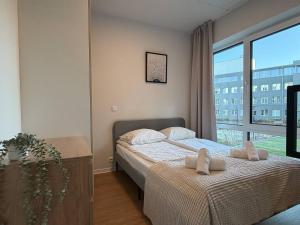Lux studio with gym, kitchen and smart TV