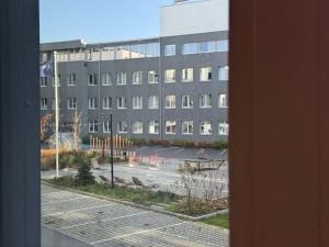 Lux studio with gym, kitchen and smart TV