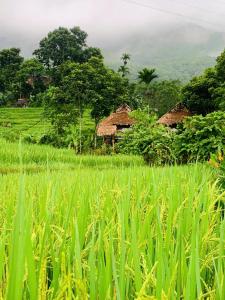 Bản Mây Glamping