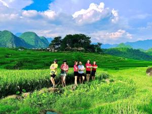 Bản Mây Glamping