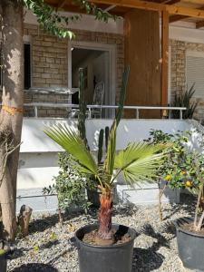 Garden Apartment 2