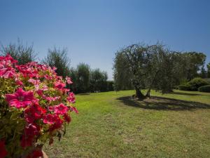 Flat with shared pool and air conditioning