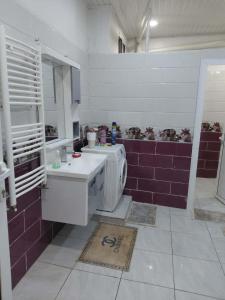Modern 2-bedroom apartment with private pool and garden in Algiers
