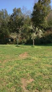 Agriturismo Podere Borgognano
