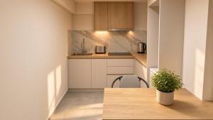 Athens Platinum Suites No2
