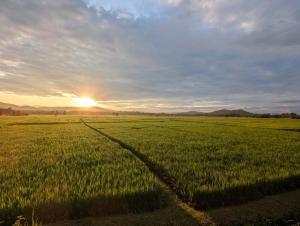 Baan PhuriChaya Doi Saket Chiang Mai Peaceful Stay with Mountain and Rice Field View