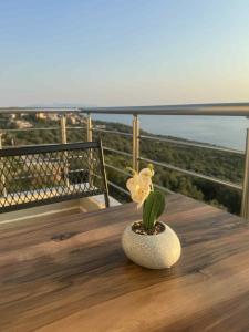 Piqeras Apartament Lola