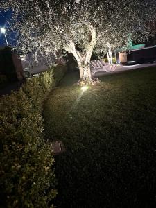 Villa Karina - Luxury Suite, Jacuzzi Pool & Garden Ostia Rome