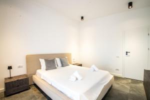 Apartament Central 20
