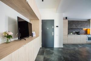 Apartament Central 20