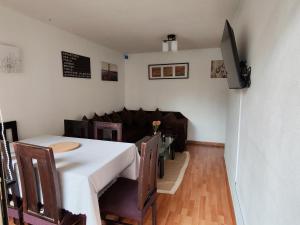 Amplio y céntrico apartamento en Santiago