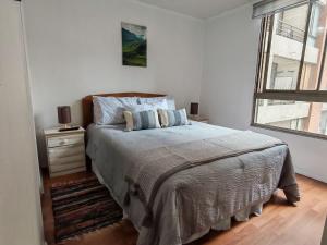 Amplio y céntrico apartamento en Santiago