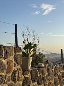 Panoramic Horizons & Private Pool & BBQ