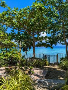 Nature Seaview