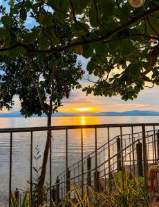 Nature Seaview