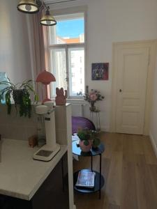 Art Nouveau apartment in the best neighborhood in Prague