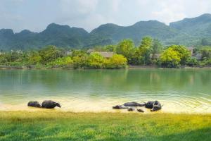Tam Coc Moon An Bungalow & Cafe