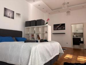 Central Residence Pécs