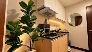 Casa Amara Comfort Meets Modern Living