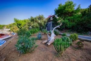 Apartments Leo Katić