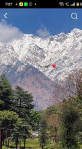 Palampur Balcony Paradise2026